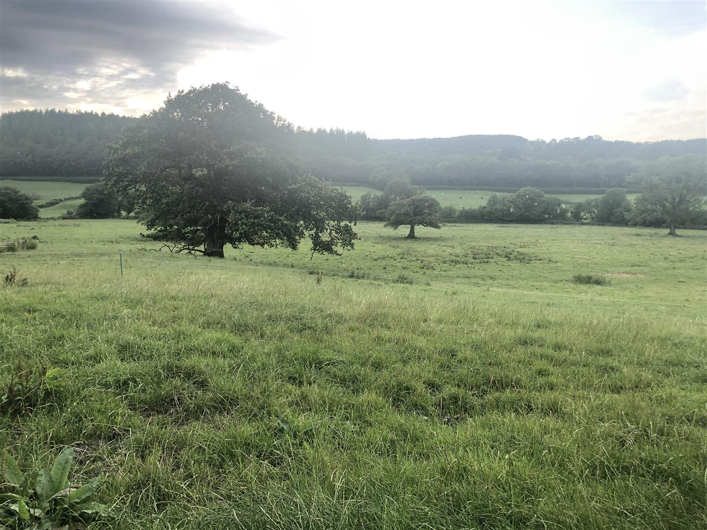 LAND